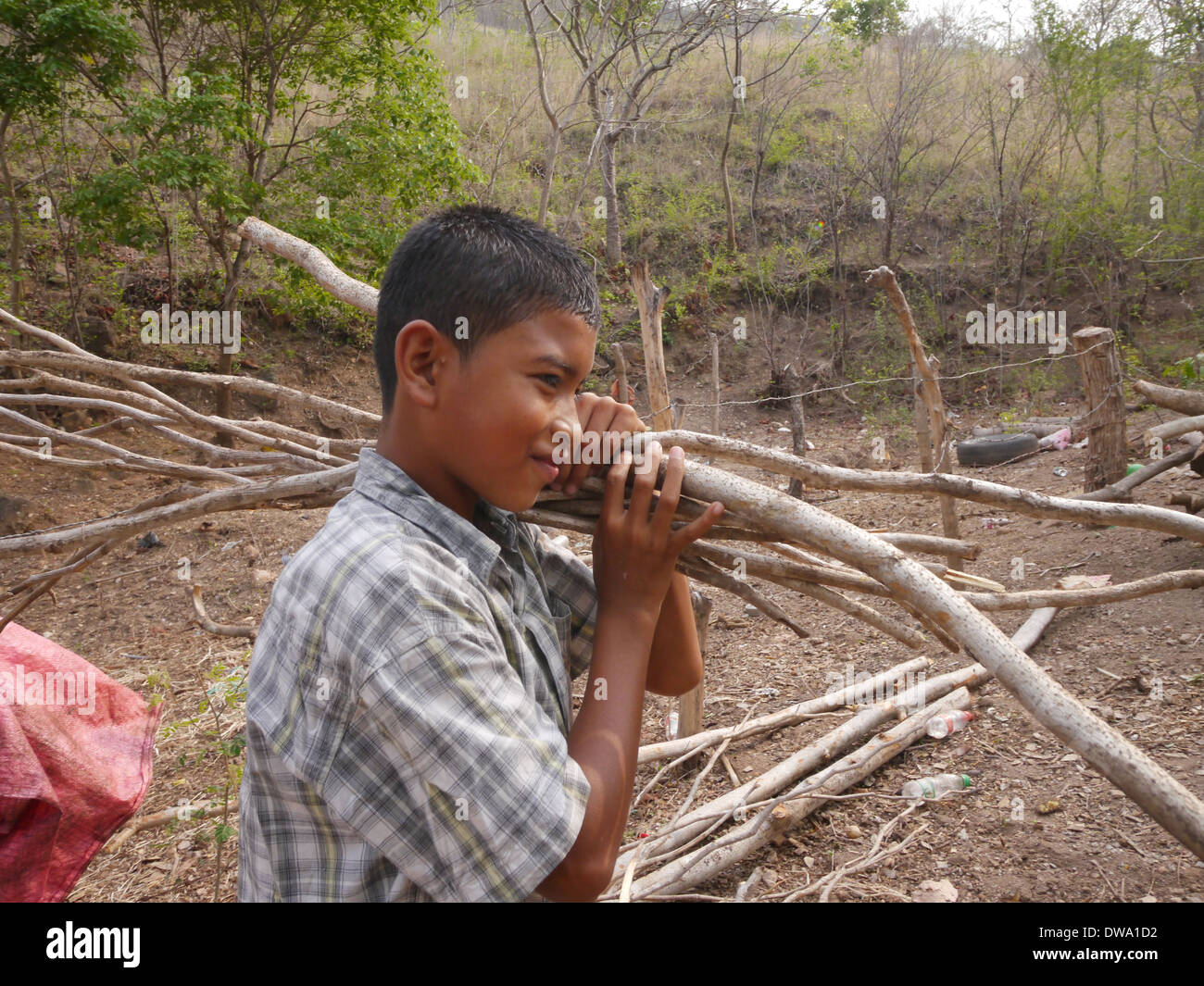 Boy carrying firewood Stock Photo - Alamy