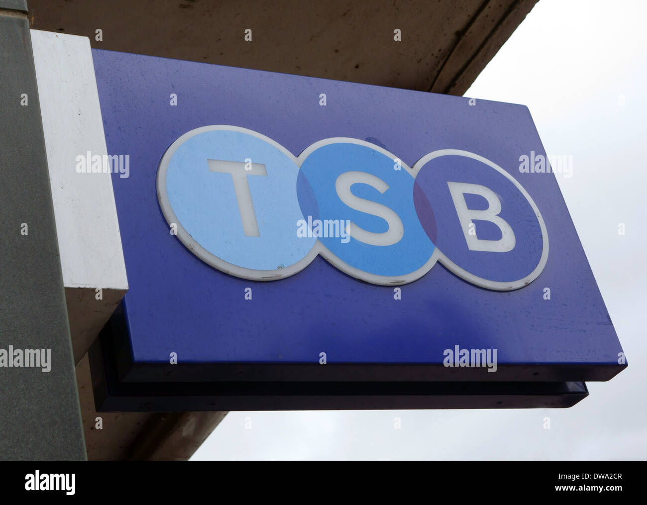tsb snkrs