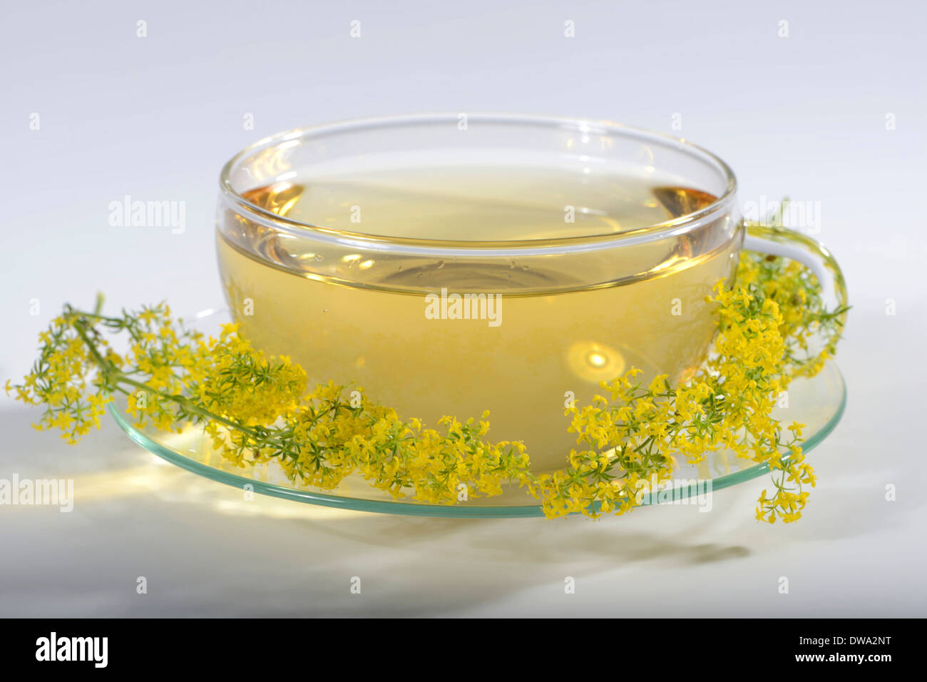 Clivers hi-res stock photography and images - Alamy