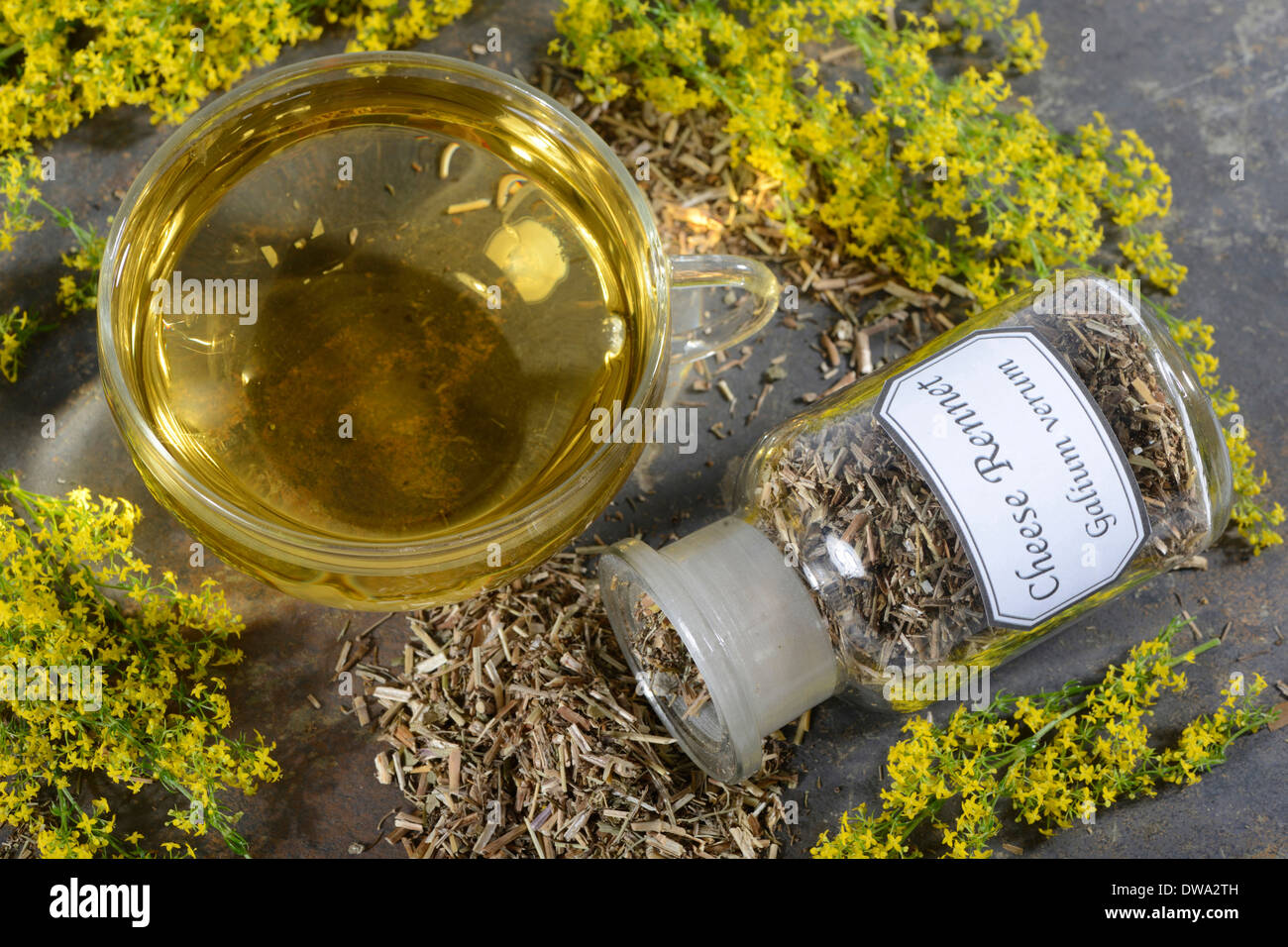 Catchweed hi-res stock photography and images - Alamy