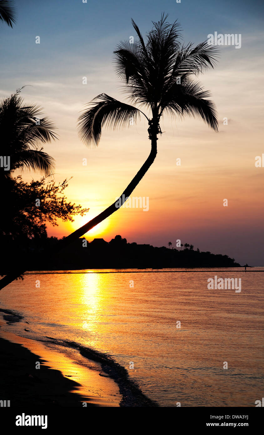 Sunset on exotic beach Stock Photo