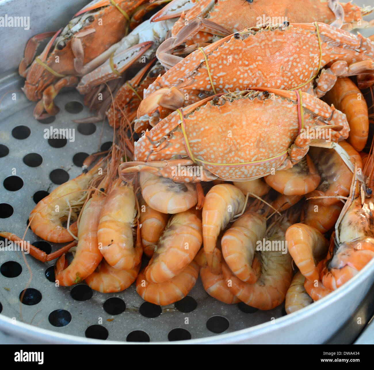 shrimps and crabs Stock Photo Alamy