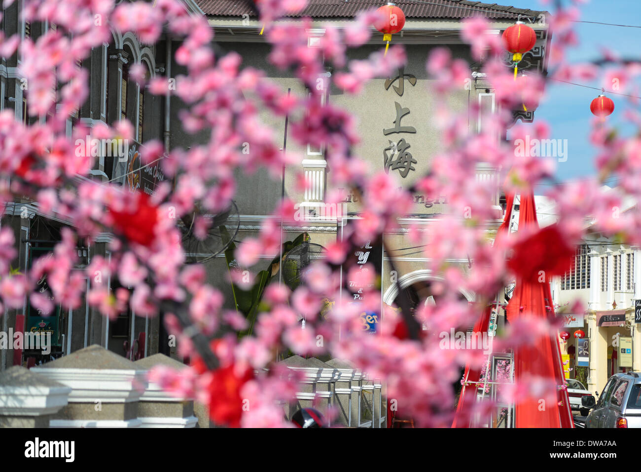 Decorative plum flowers during chinese new year along Jalan Nagor off