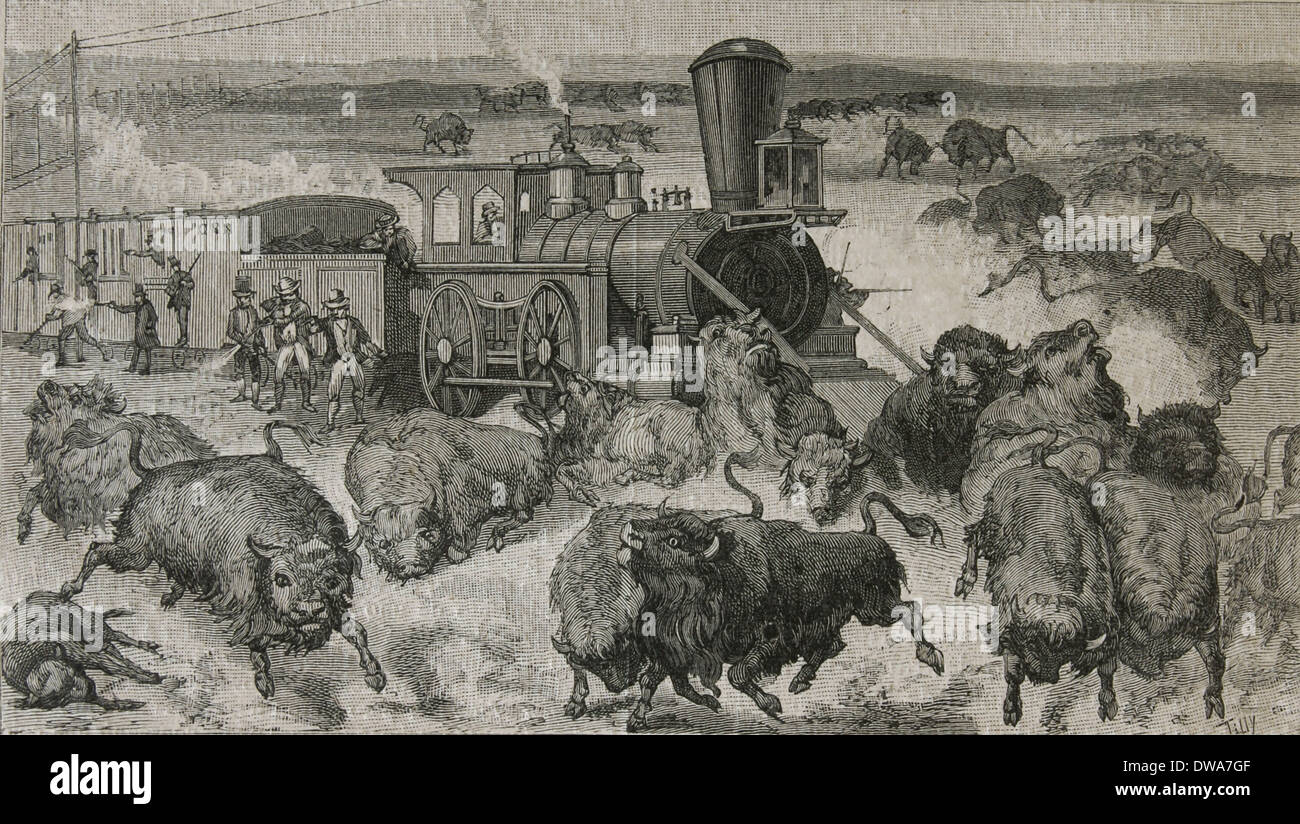 Bison hunt railroad hires stock photography and images Alamy