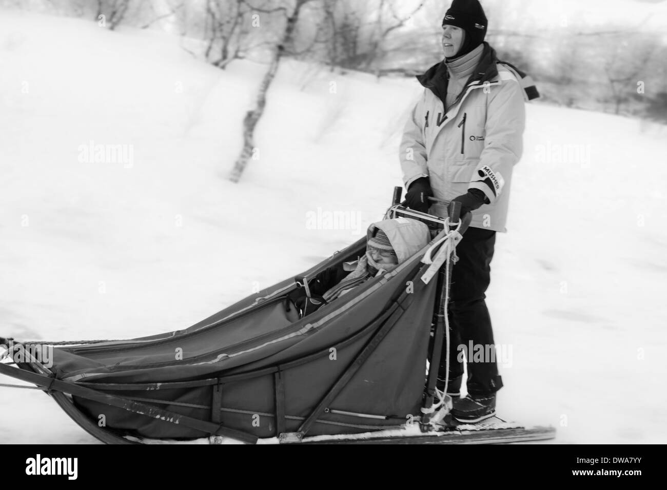 Dog sledding adventure with man driving a sled with a woman inside, Tromso, Norway Stock Photo