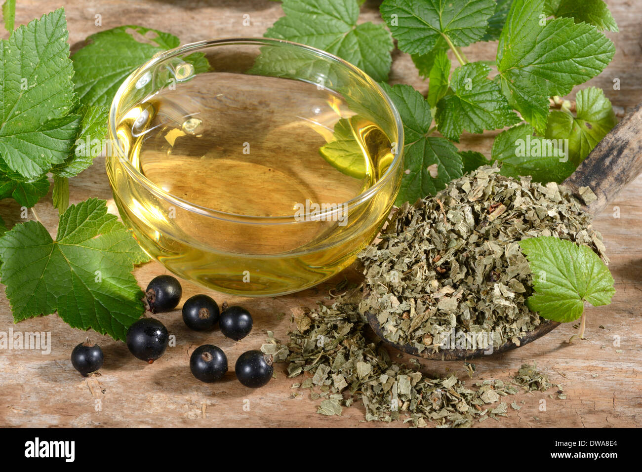 Dried black currant hires stock photography and images Alamy