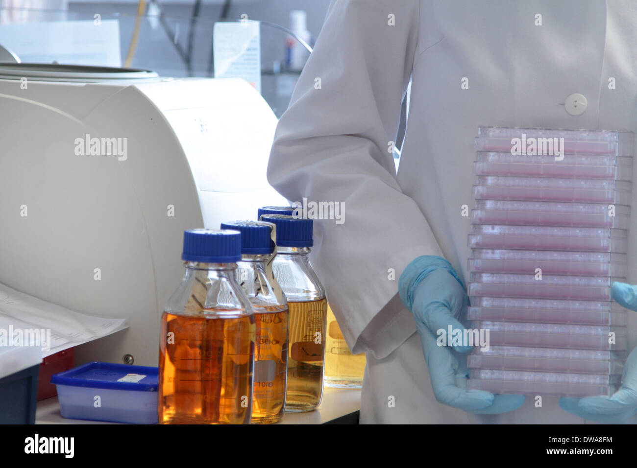 scientist with lab coat and gloves working in a lab Stock Photo