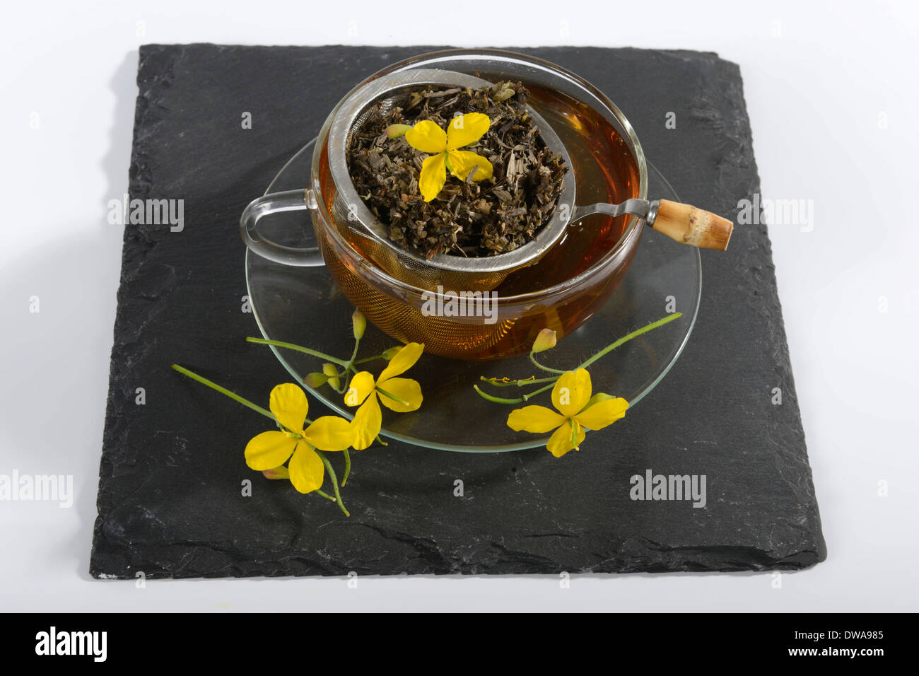 Greater Celandine tea Stock Photo