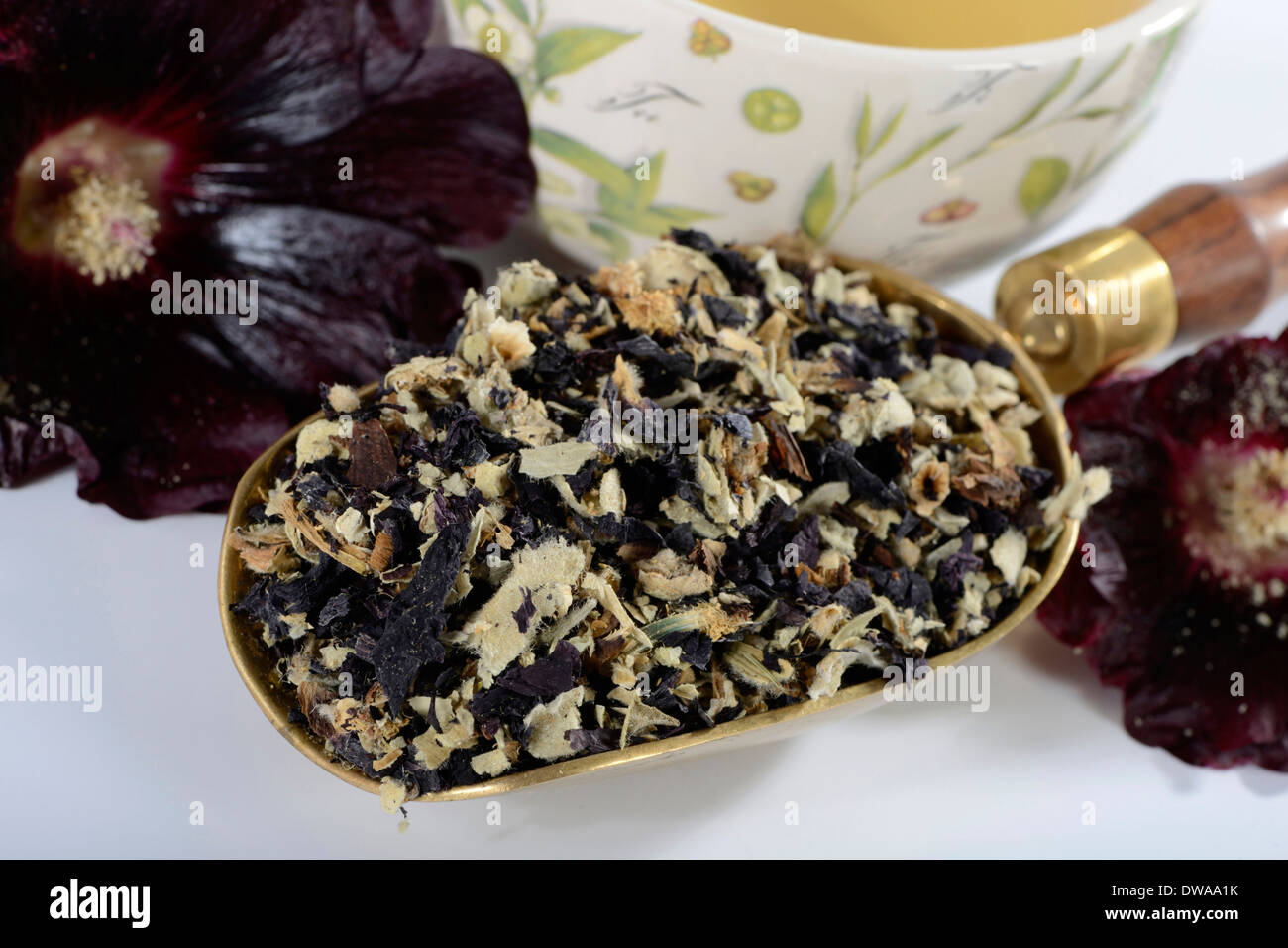 Hollyhock tea hires stock photography and images Alamy