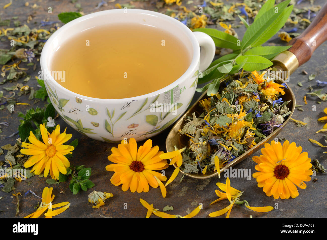 Herb tea Stock Photo