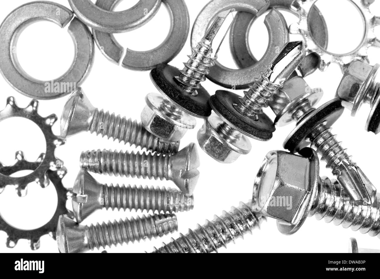 A very close view of lock washers with assorted metal screws on a white background. Stock Photo