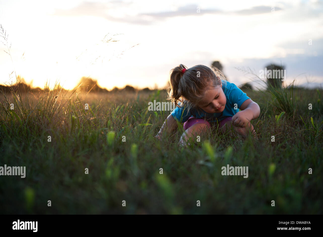 Young toddler sitting playfully on the grass during sunset. Stock Photo