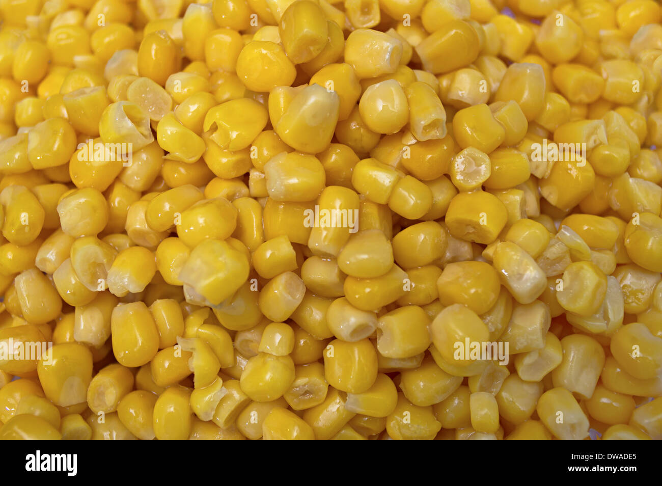 Background of canned sweet corn. Close up. Stock Photo
