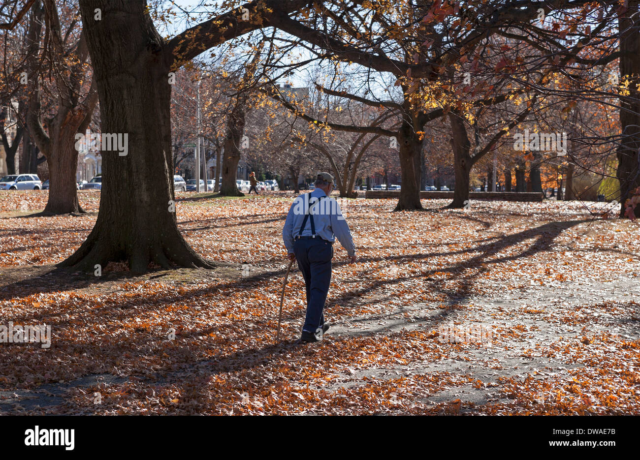 Male trees hi-res stock photography and images - Alamy