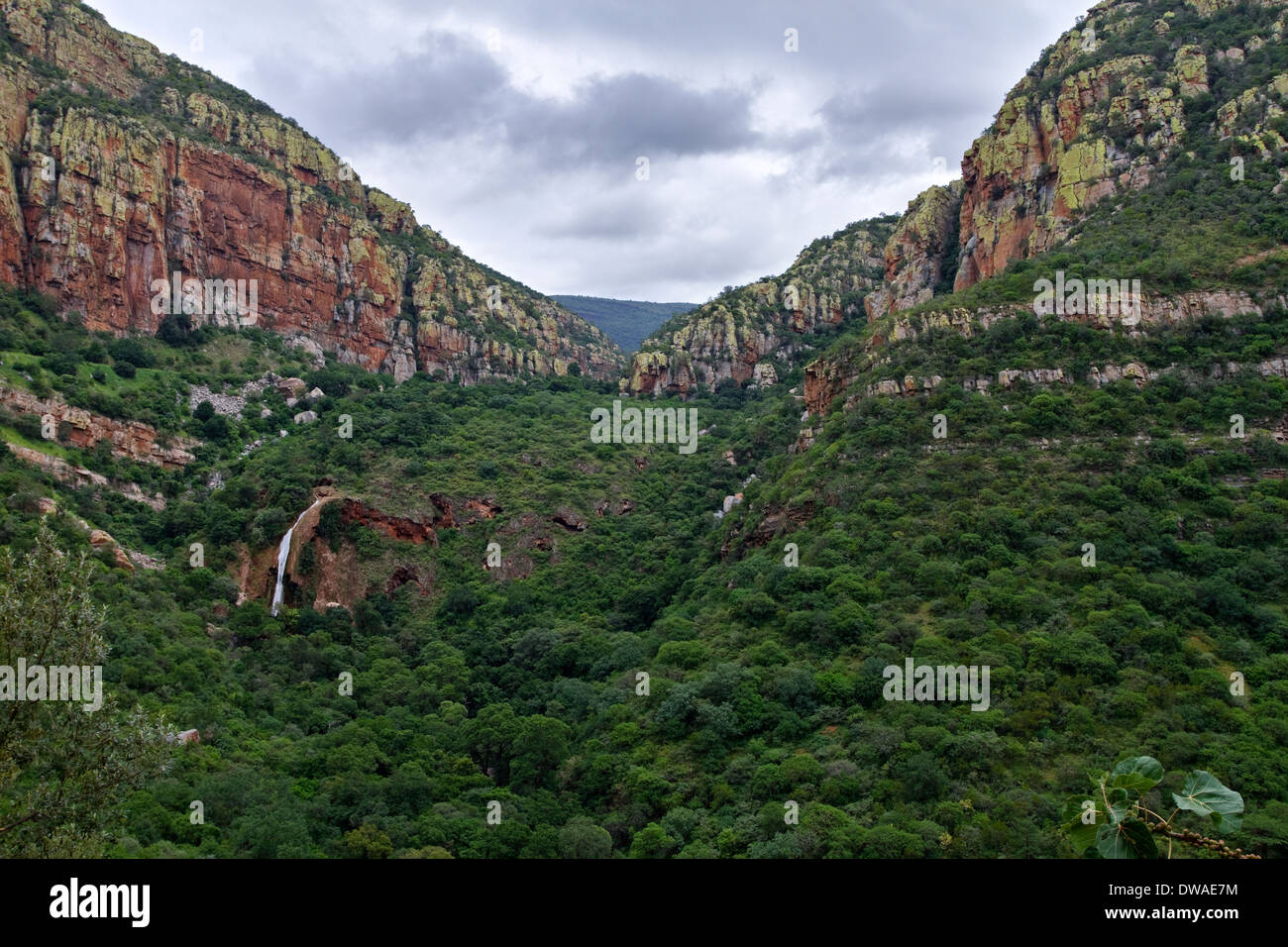Mountain landscape at the JG Strydum Tunnel Northern Drakensberg Mpumalanga.  Location for Taita Falcon (Falco fasciinucha) Stock Photo