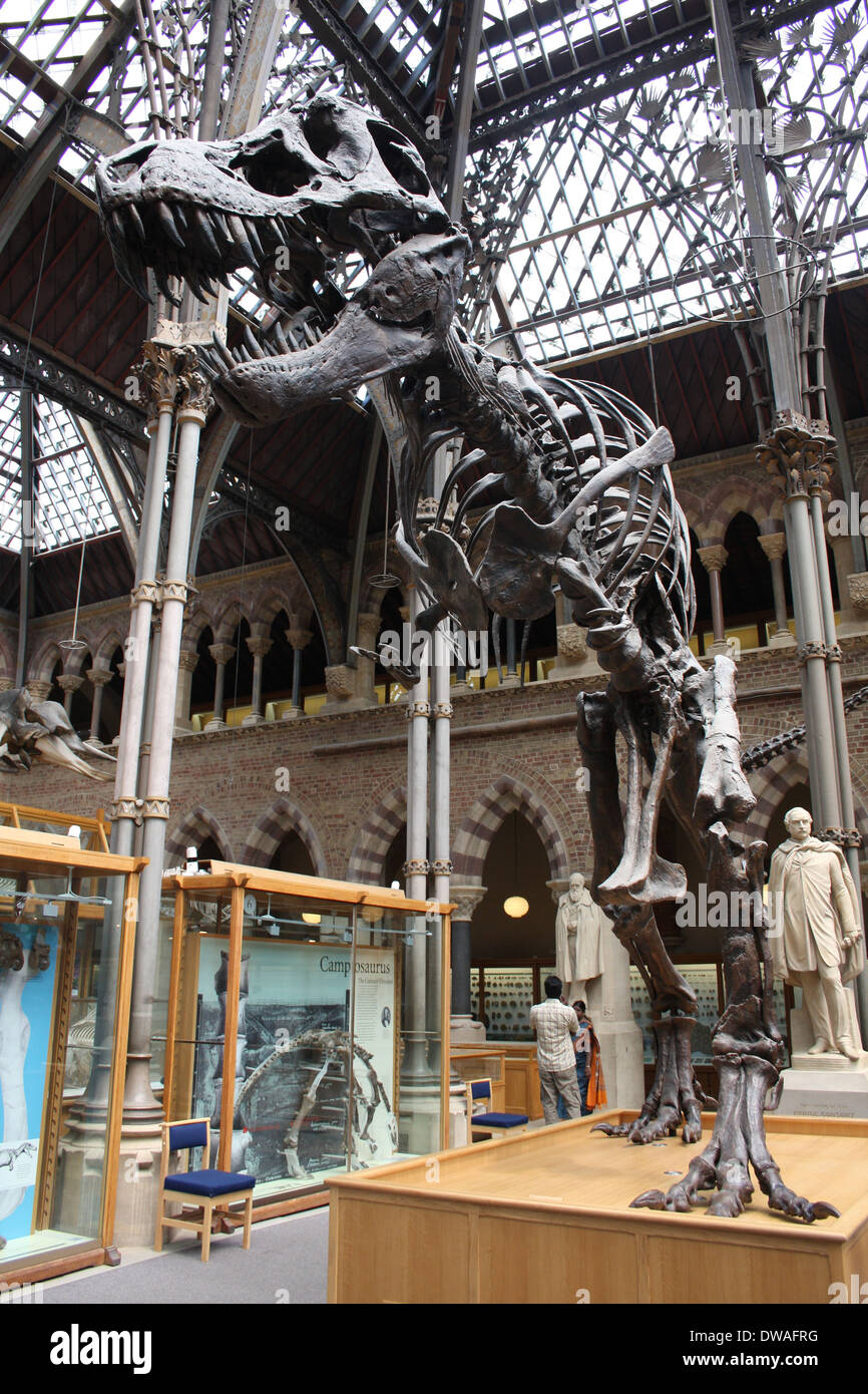 THEROPOD SKELETON visual data 7