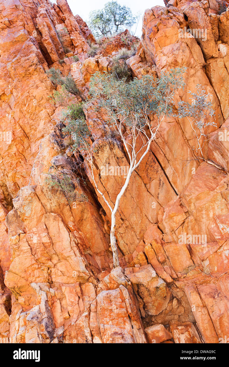 Dirt alice hires stock photography and images Alamy