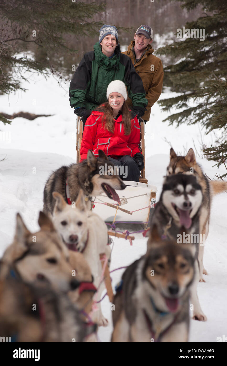 Photo of three people riding in dog sled in Alaska Stock Photo