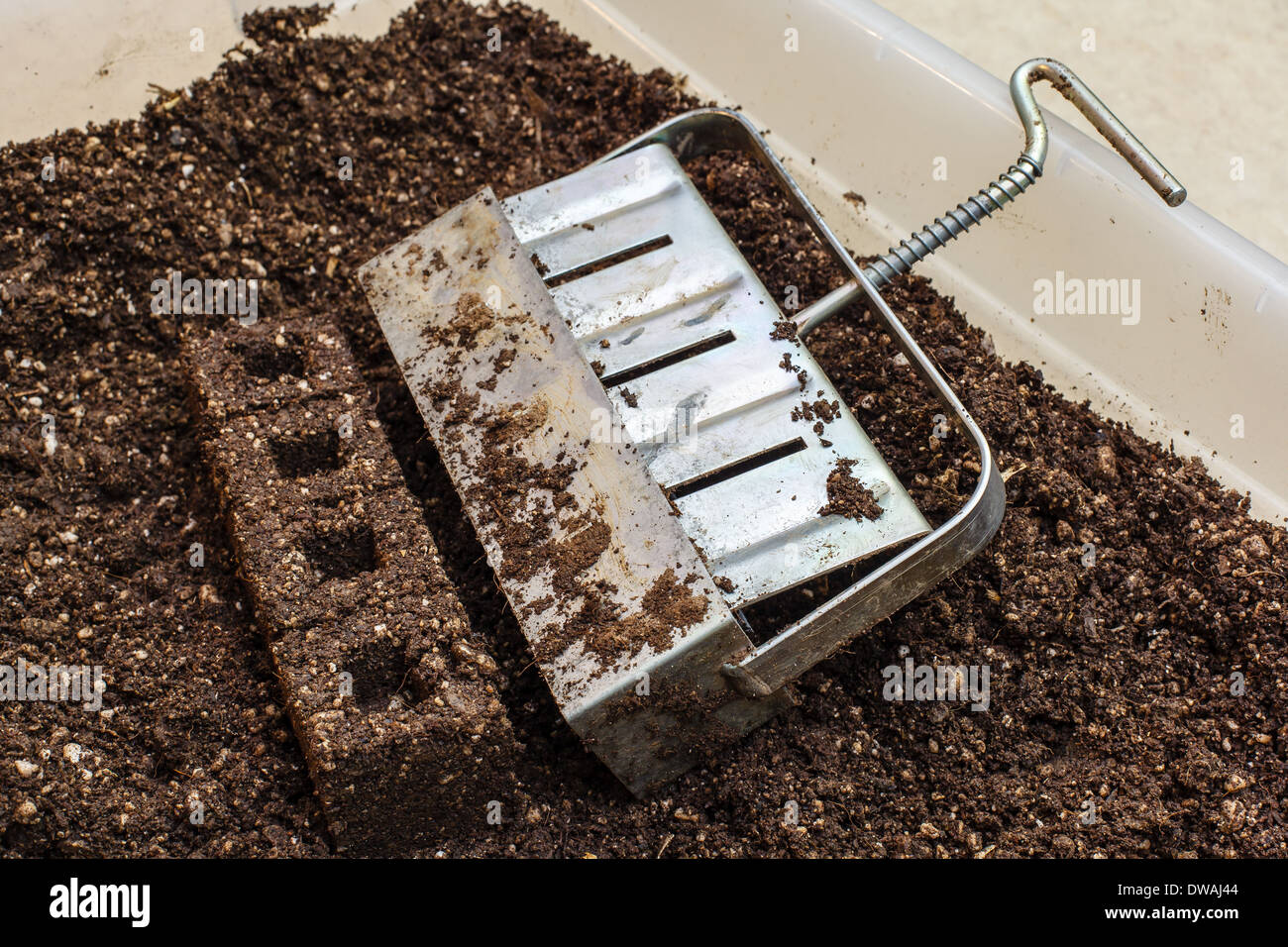 A row of four soil blocks and a soil block maker in a tub of potting