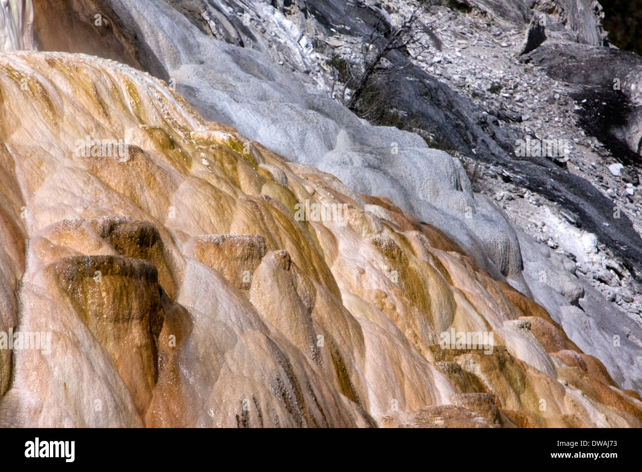 Palette Springs near Mammoth Hot Springs in Yellowstone National Park, Wyoming. Stock Photo