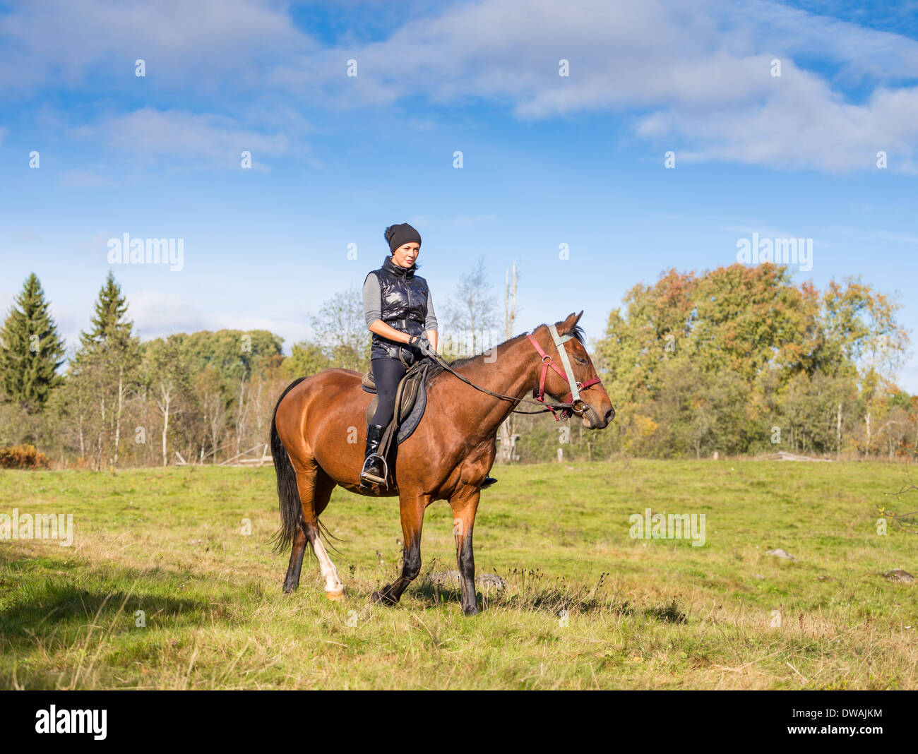 Elegant attractive woman riding a horse Stock Photo