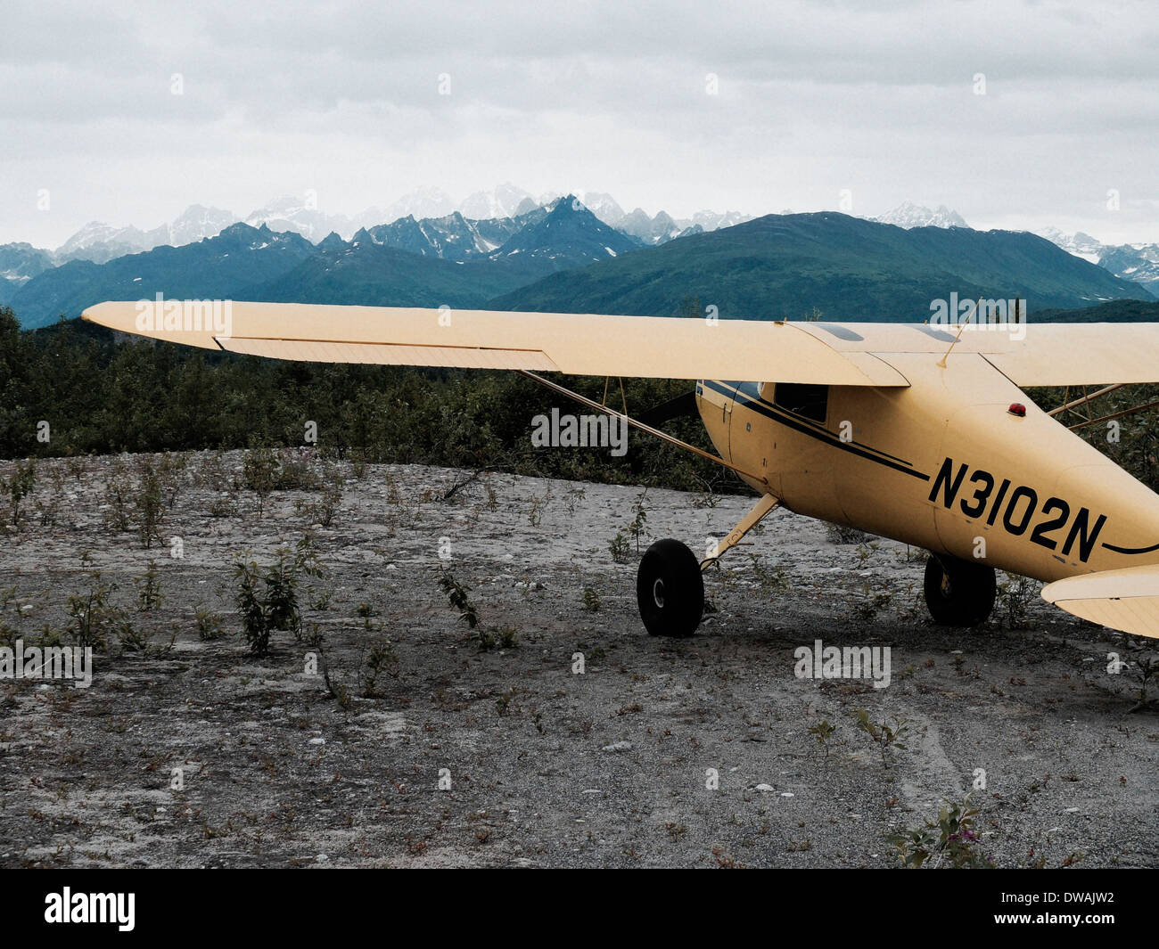 Yellow Cessna 120 single engine bush plane parked on a sandy strip in