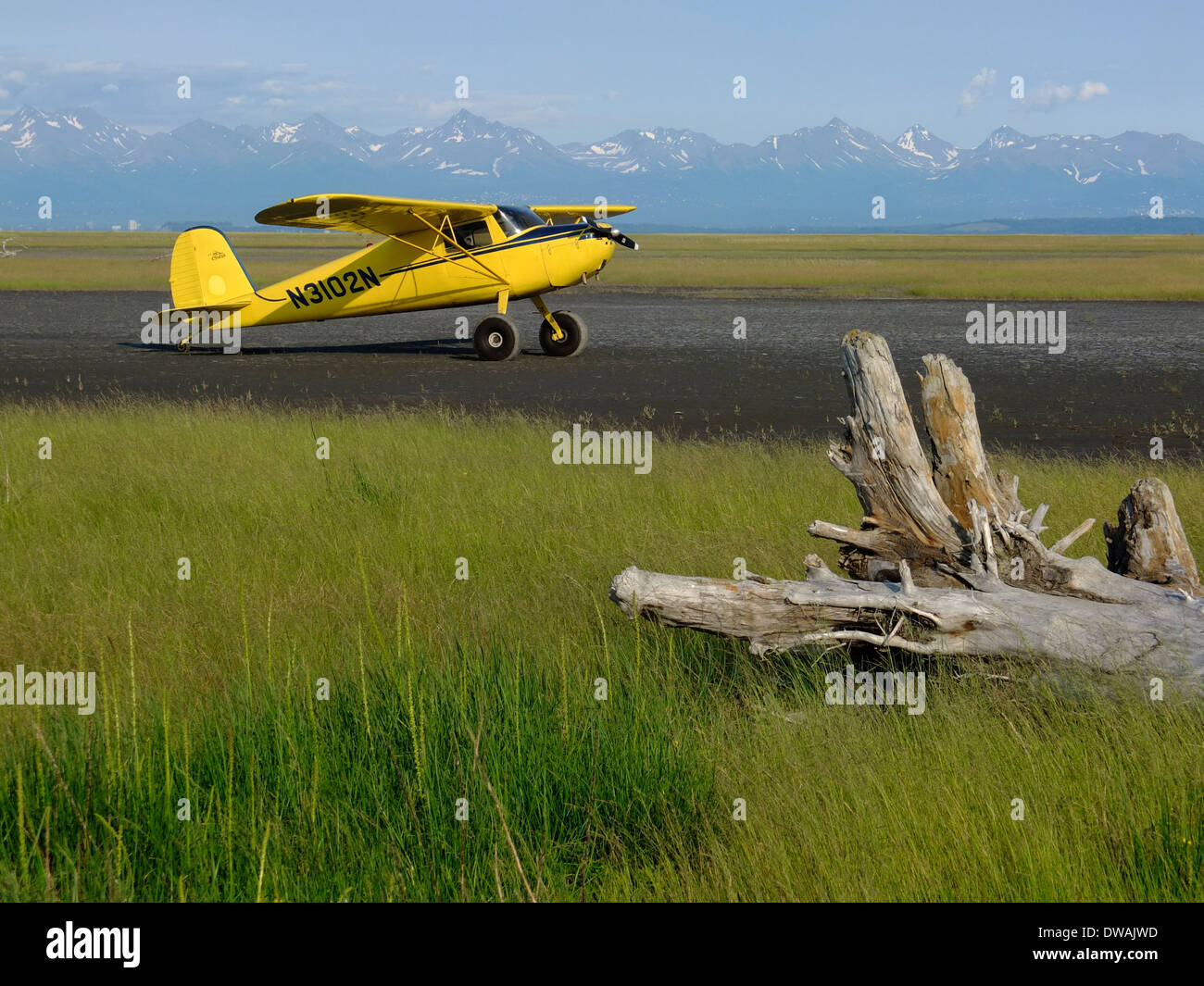 Yellow Cessna 120 single engine bush plane parked on a dirt and mud strip in the backcountry Stock Photo