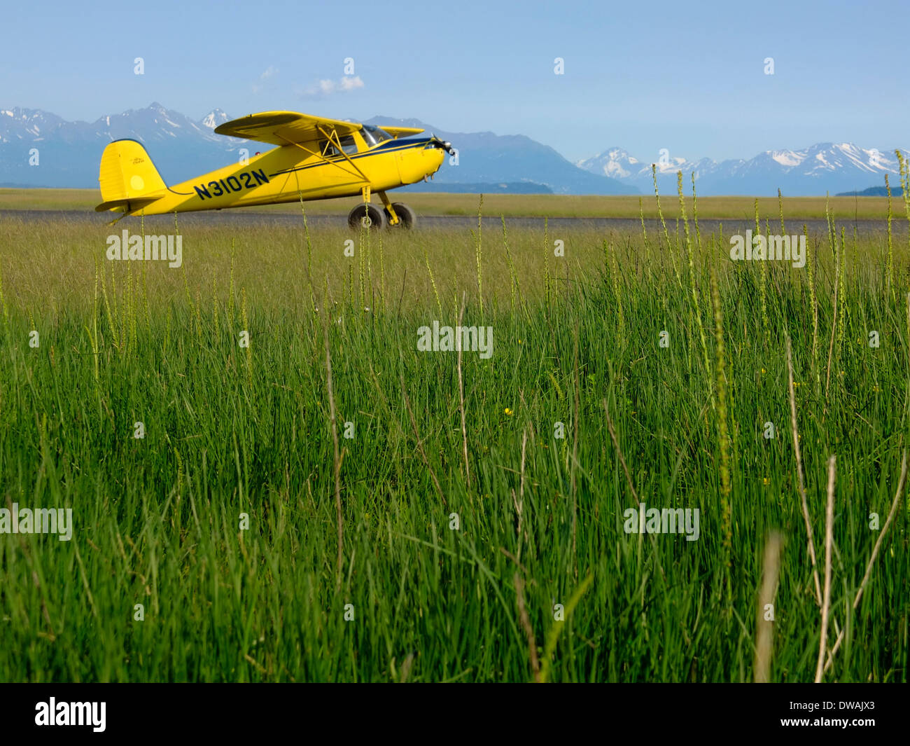Yellow Cessna 120 single engine bush plane parked on a grass and dirt strip in the backcountry Stock Photo