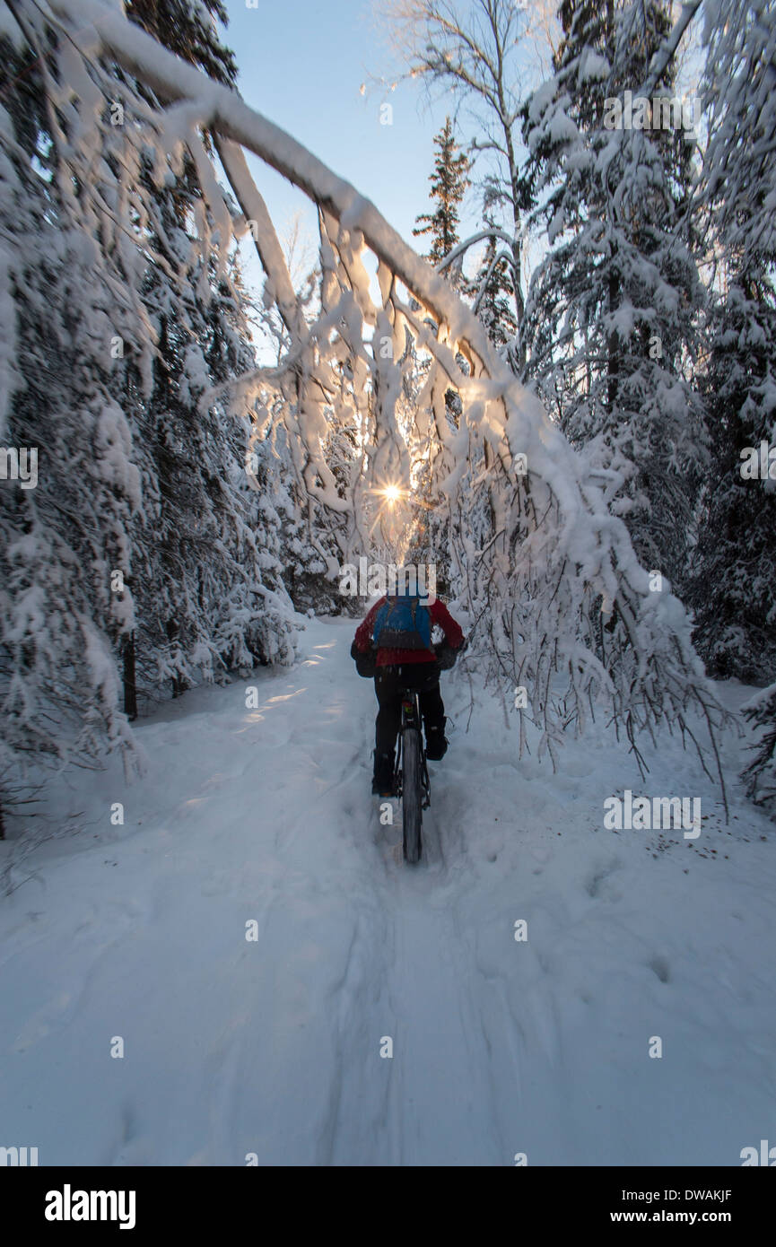 Photo of person snow biking, Far North Bicentennial Park, Anchorage, Alaska. Shot from behind