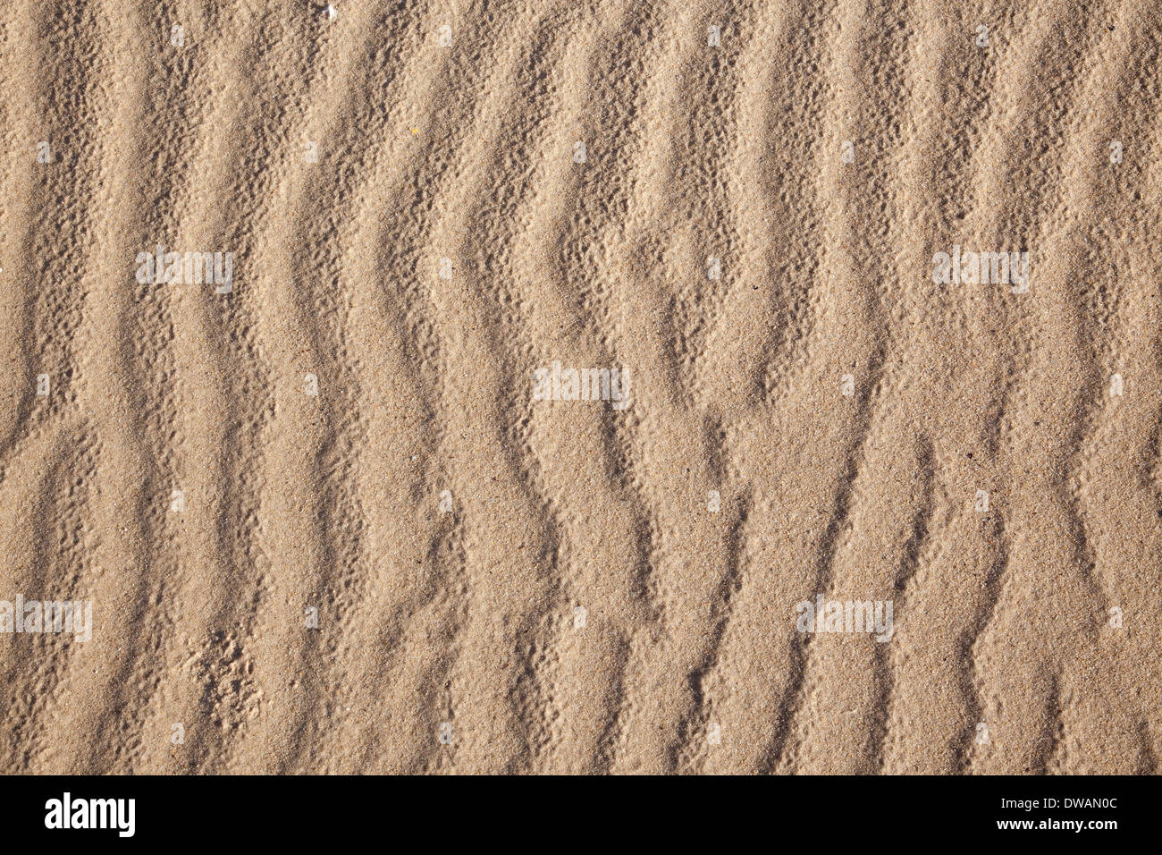 River sand close up hi-res stock photography and images - Alamy