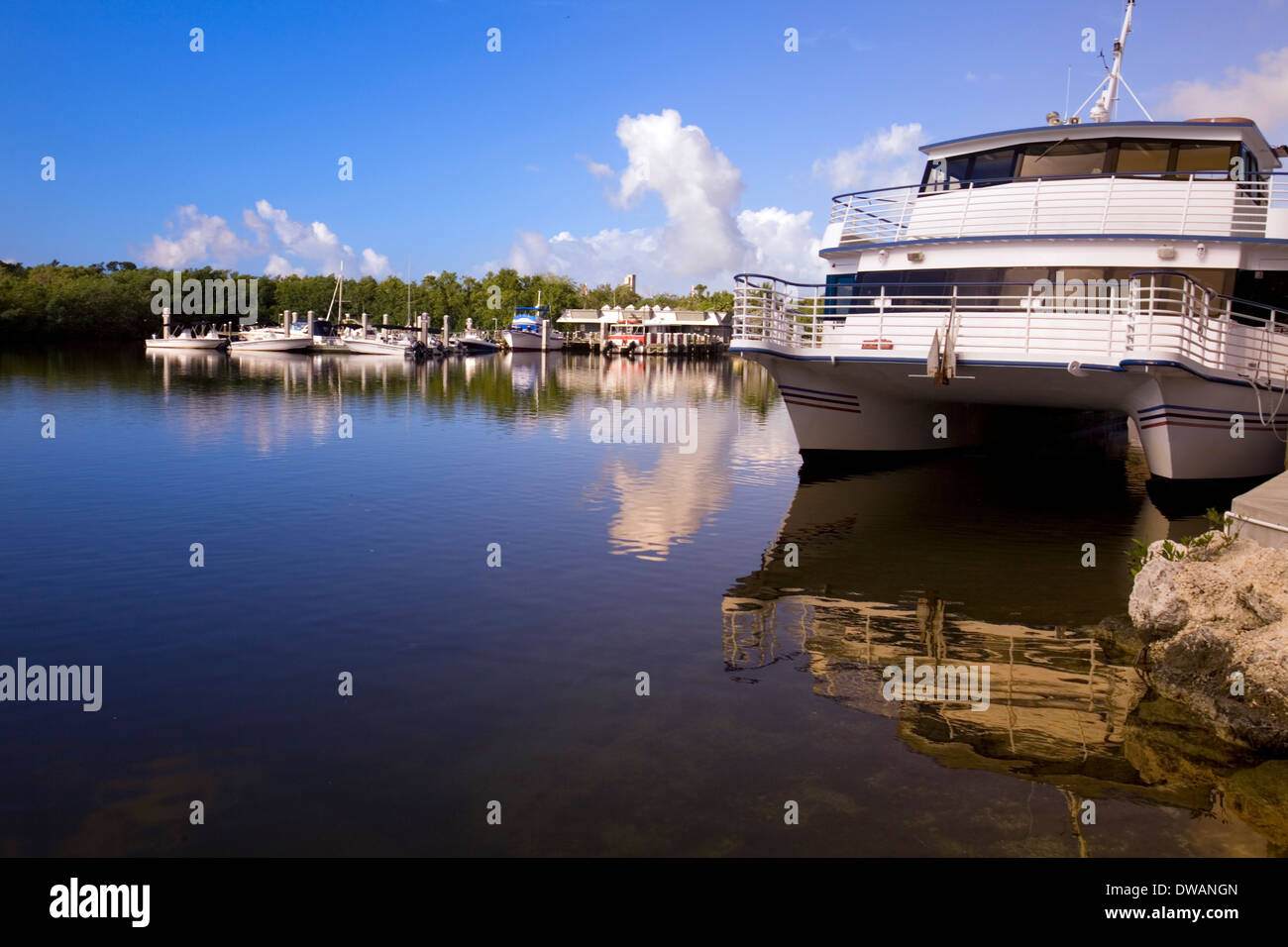 Glassbottom tour boats at John Pennekamp Coral Reef State Park, Key