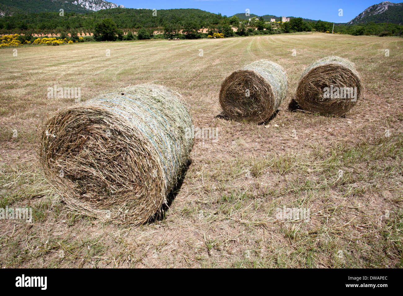 Hay harvest in italy, Perigord area Stock Photo