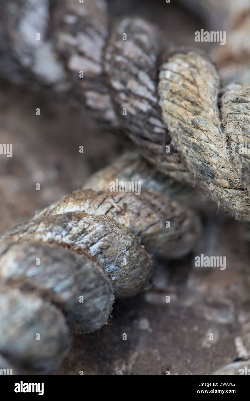 Close-up detail of braided old rope as used as part of a 'castaway ...