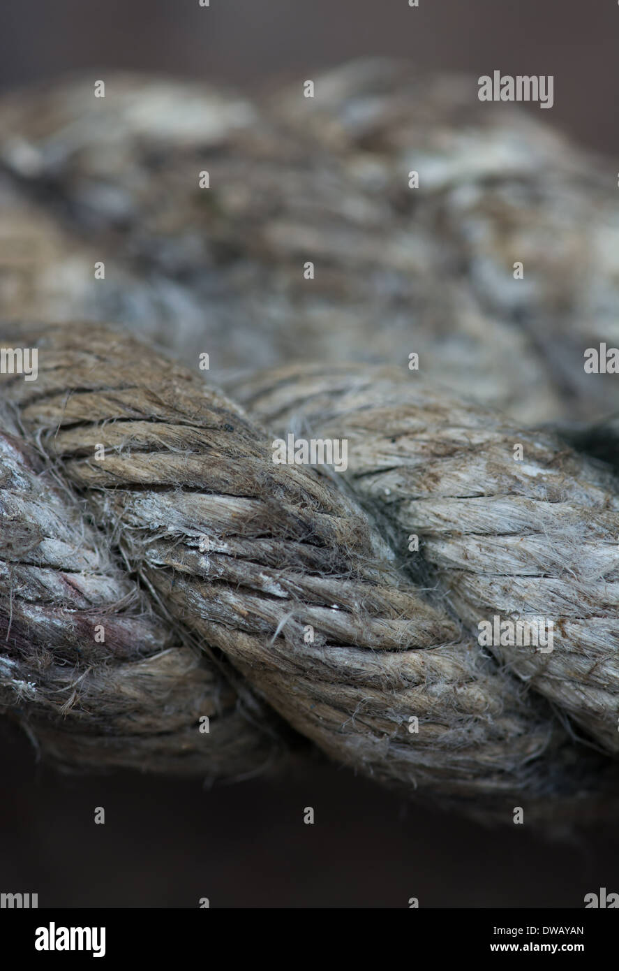 Castaway gardens hi-res stock photography and images - Alamy