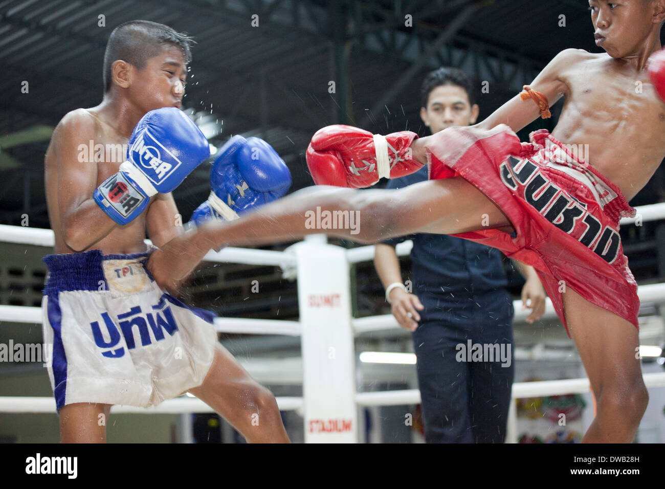 Muay thai phuket hi-res stock photography and images - Alamy