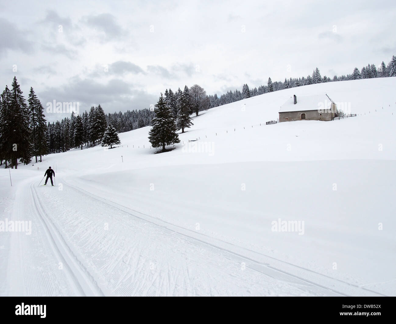 Cross country skiing on Fabrice Guy piste, Pre Poncet, Jura, France