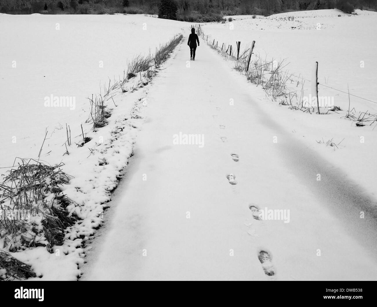 Walking in snow, Saint Pierre, Jura, France Stock Photo