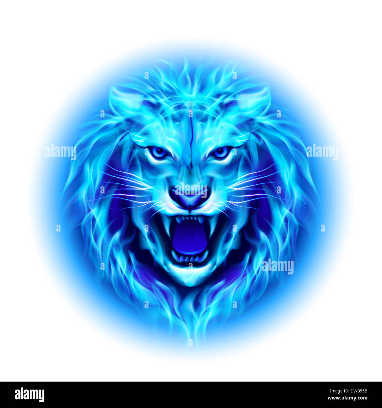 Head of aggressive blue fire lion isolated on white background Stock Photo  - Alamy