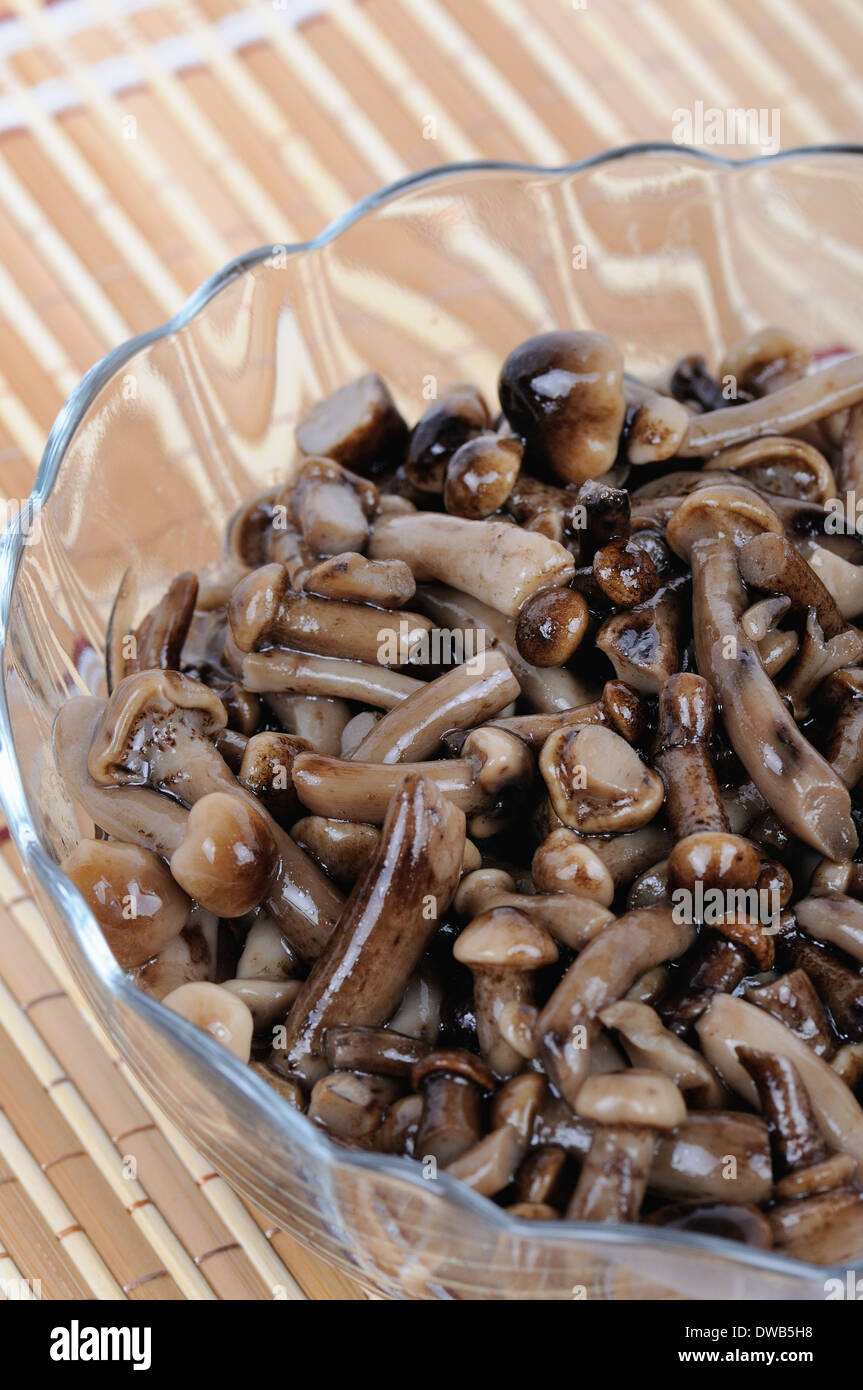 Marinated mushrooms homemade. Honey fungus (Armillaria mellea) Stock Photo