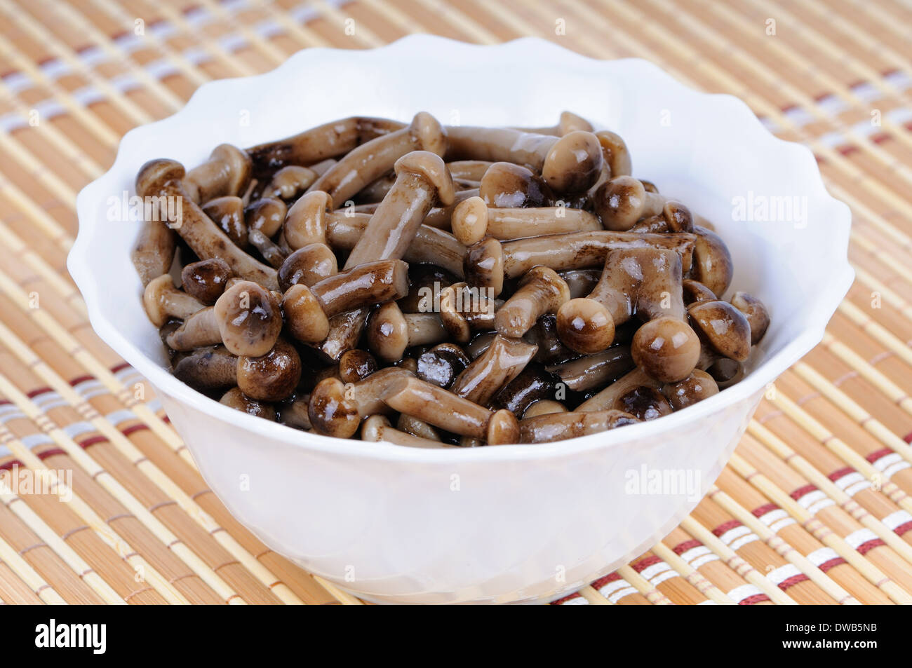 Marinated mushrooms homemade. Honey fungus (Armillaria mellea Stock