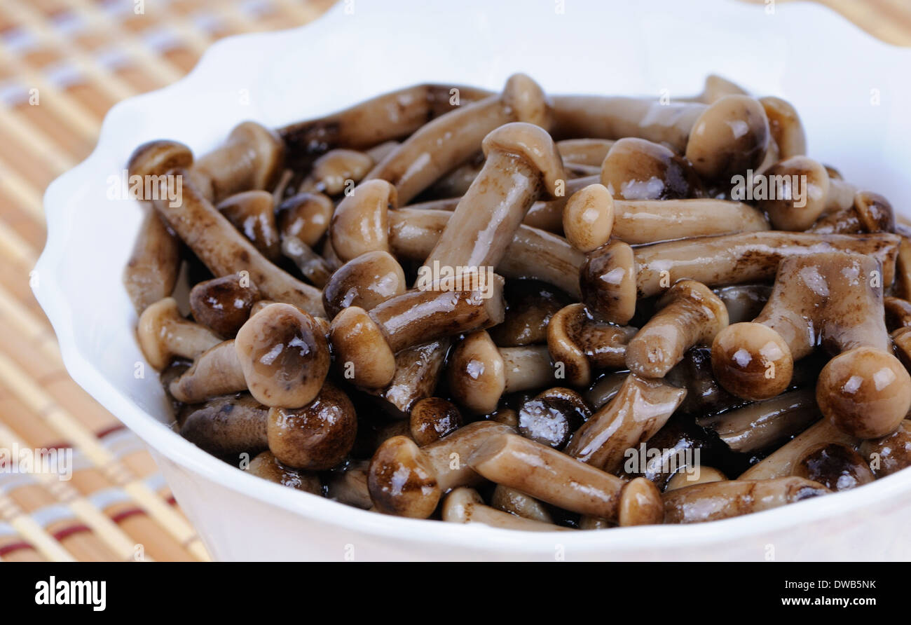 Marinated mushrooms homemade. Honey fungus (Armillaria mellea) Stock Photo