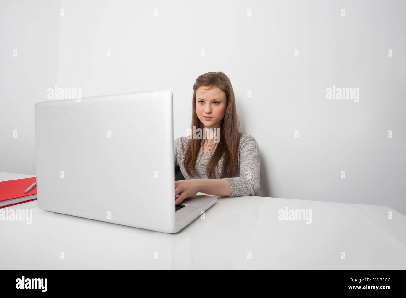 Beautiful businesswoman working on laptop at office desk Stock Photo