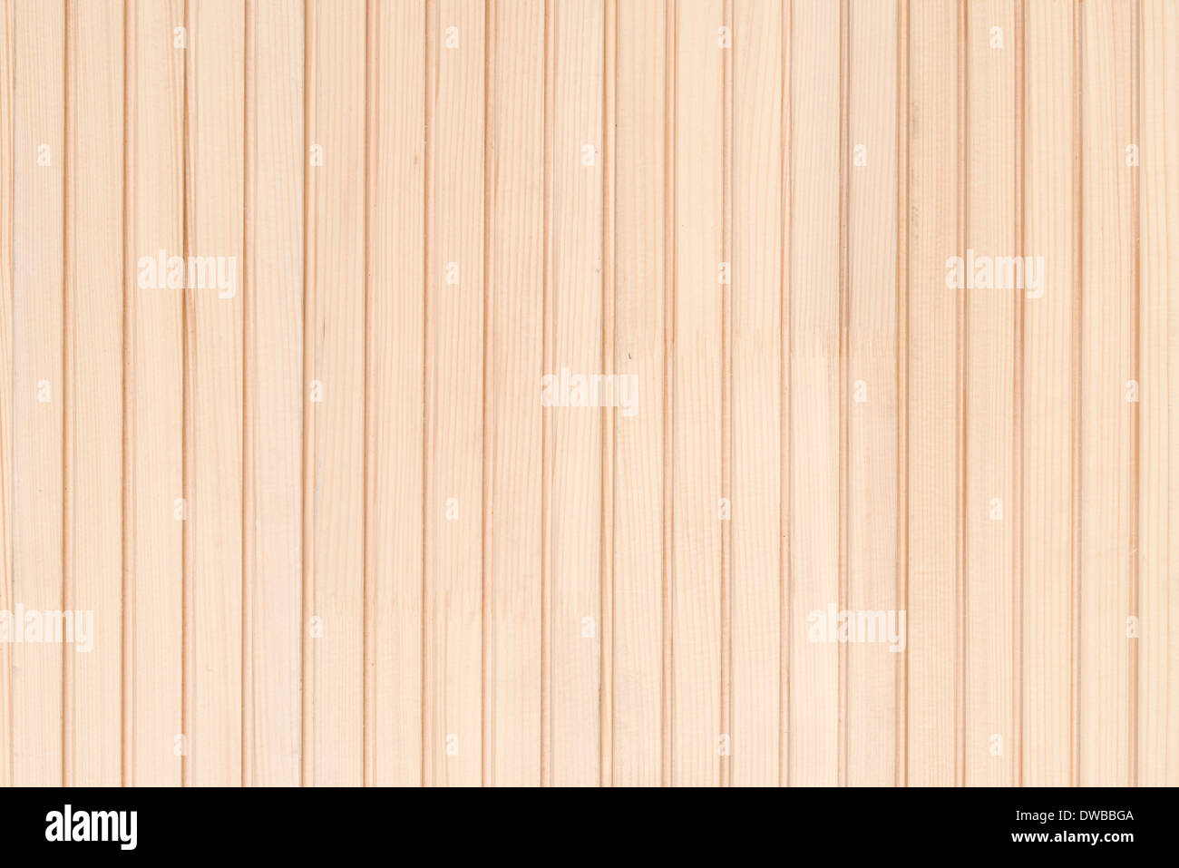 Pine floorboards background - wood texture. Stock Photo