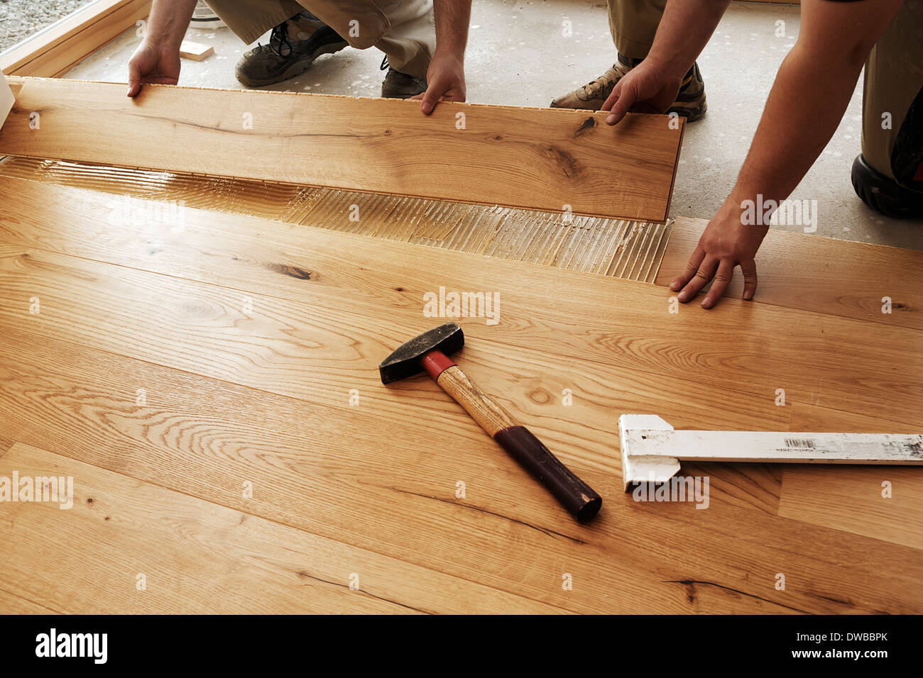 Two men laying finished parquet flooring, closeup Stock Photo Alamy