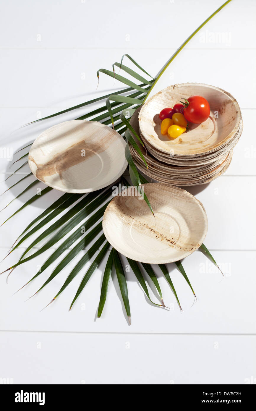 Palm leaf plates, two tomatoes and a palm frond, studio shot Stock Photo