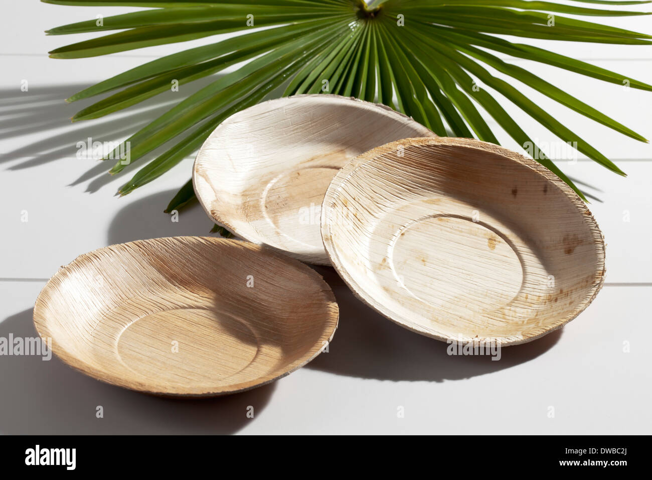 Palm leaf plates and palm frond, studio shot Stock Photo