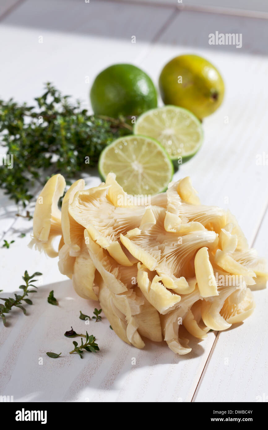 Golden Oyster Mushrooms (Pleurotus citrinopileatus), limes, and lemon thyme on wooden table Stock Photo