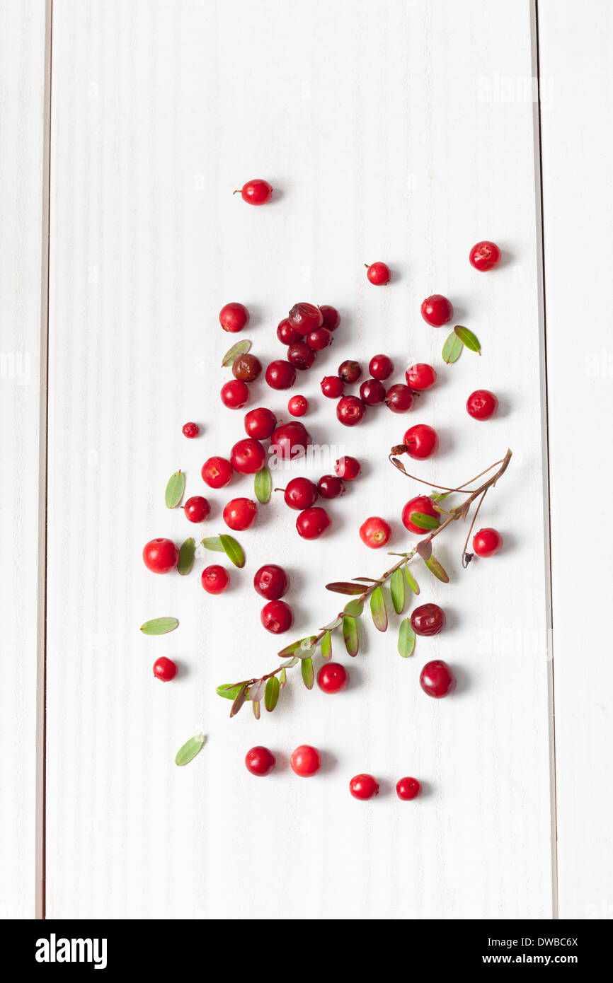Cranberries (Vaccinium vitis-idaea), twig and leaves on white wooden table Stock Photo