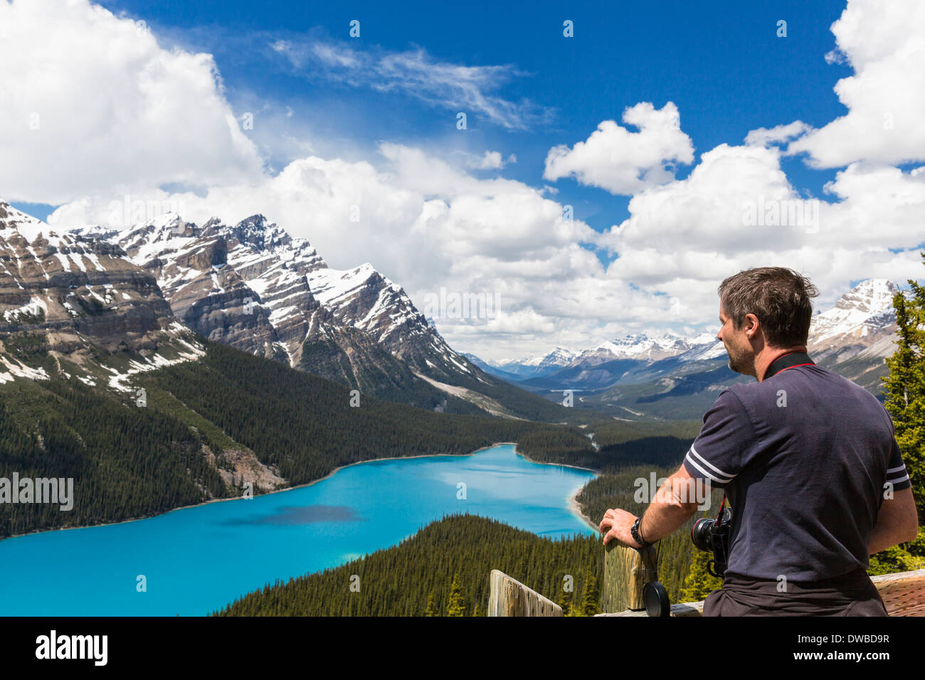 Canada, Alberta, Banff National Park, Tourist at Peyto Lake seen from ...