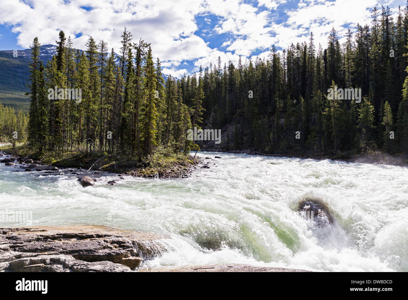 Canada Alberta Jasper National Park Sunwapta Falls Sunwapta River 